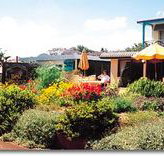 Best Western Applegum Inn Motel - Toowoomba - New Castle Tourism