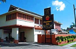 Comfort Inn The Rose - Newcastle Accommodation 1
