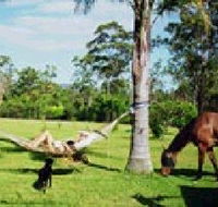 Neds Bed Horse O Tel - New Castle Tourism