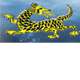 Dragon Phoenix Motel amp Restuarant - New Castle Tourism