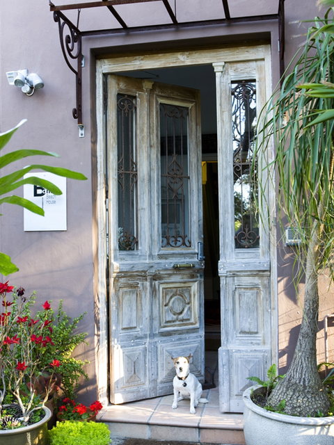 Bondi Beach House Accommodation - Newcastle Accommodation 0