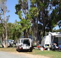 Elliston Caravan Park - New Castle Tourism