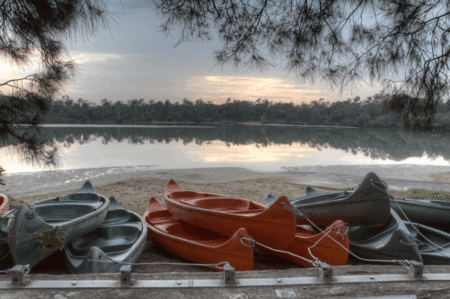 Boambee Bay Resort - New Castle Tourism 5