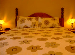 Travelway Motel - New Castle Tourism