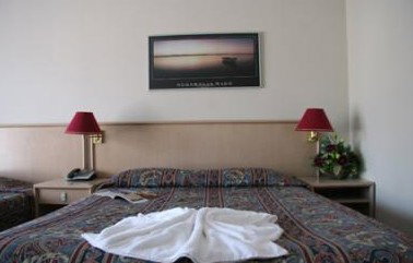 Apollo Resort Wamberal - Newcastle Accommodation 1