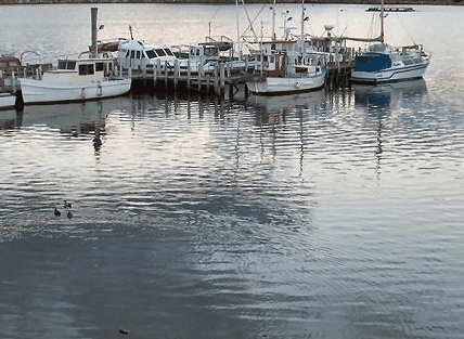 Hobart Apartments - New Castle Tourism 1