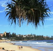 Mariners Caloundra - Newcastle Accommodation