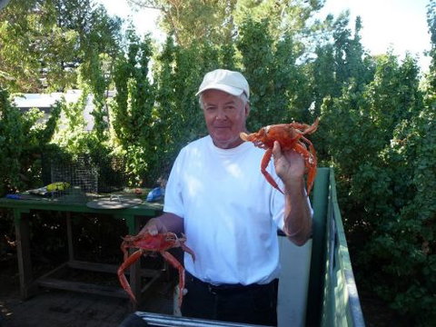 Cowell Foreshore Caravan Park & Holiday Units - Newcastle Accommodation 4