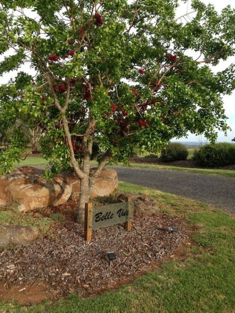 Belle Vue Studio - Newcastle Accommodation 0