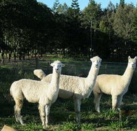 Blackwattle Farm BampB and Farm Stay - Newcastle Accommodation
