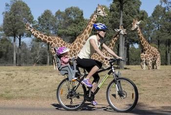 Zoofari Lodge, Taronga Western Plains Zoo - New Castle Tourism 7