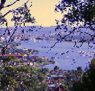 Possums Spa Apartments - Newcastle Accommodation