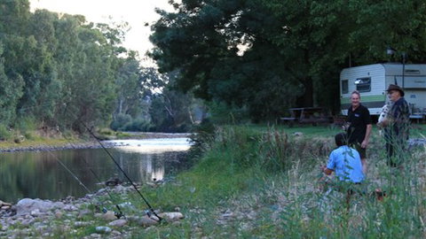 Gentle Annie Caravan And Camping Reserve - New Castle Tourism 0