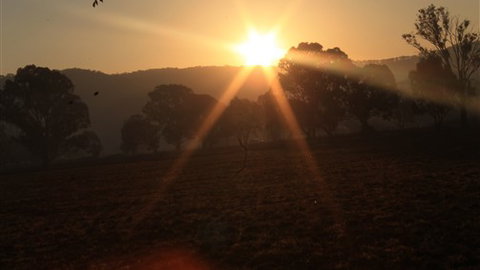 Gentle Annie Caravan And Camping Reserve - New Castle Tourism 1