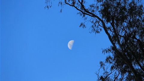 Gentle Annie Caravan And Camping Reserve - New Castle Tourism 4