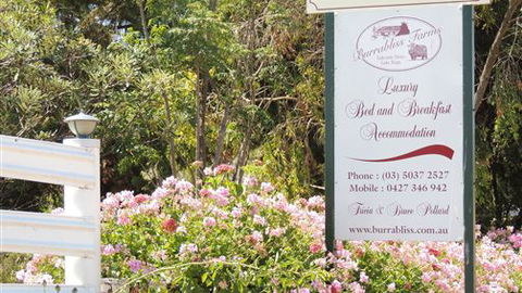 Burrabliss Bed And Breakfast - New Castle Tourism 6