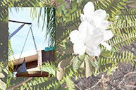 Cleveland Visitor Villas Motel - Newcastle Accommodation 2