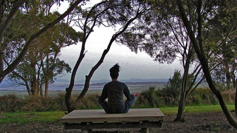 Sabrelyn Park - Newcastle Accommodation 4