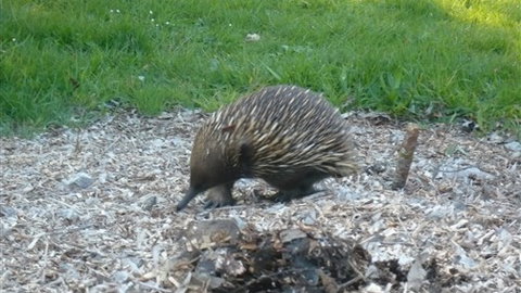 Sabrelyn Park - Newcastle Accommodation 5