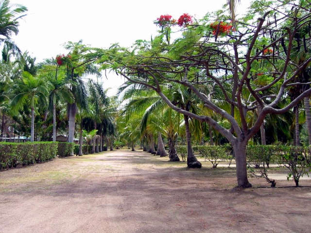 Alva QLD New Castle Tourism