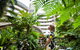 Double Tree - thumb 3