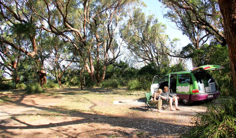 Wapengo NSW New Castle Tourism