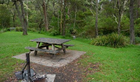Chaelundi Campground - Newcastle Accommodation 0