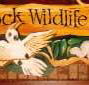 Wave Rock Hotel Motel - New Castle Tourism
