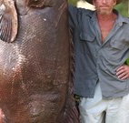 Michael's Clarence Valley Retreat - Newcastle Accommodation