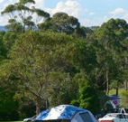 Milton Valley Holiday Park - Newcastle Accommodation