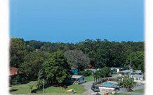 Paradise Palms Caravan Park - New Castle Tourism 3