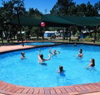Pottsville North Holiday Park - New Castle Tourism