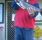 Rainbow Pines Tourist Caravan Park - Newcastle Accommodation