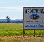 The Ardlethan Kelpie Caravan Park - New Castle Tourism
