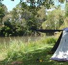 Williams River Holiday Park - Newcastle Accommodation