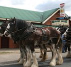 Araluen Valley Hotel - Araluen - New Castle Tourism