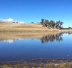 Bombala Maneroo Motel - Bombala - New Castle Tourism