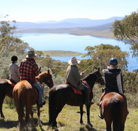 Reynella Homestead and Horseback Rides - Newcastle Accommodation