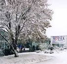 Maneroo Motel - New Castle Tourism
