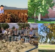 Southern Cross Motor Inn - Newcastle Accommodation