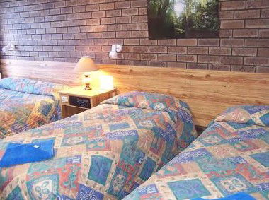Best Western Garden Court Motel - Newcastle Accommodation 3