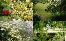 Chauvel Park B And B - Newcastle Accommodation 1