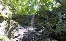 Cougal Park Bed And Breakfast - Newcastle Accommodation 3