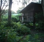 Mount Seaview Resort - Newcastle Accommodation