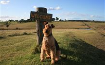 Pebble Bay Cottage - New Castle Tourism 7