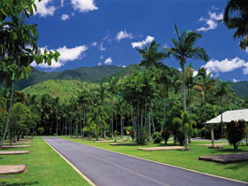 BIG4 Cairns Crystal Cascades Holiday Park - New Castle Tourism 1