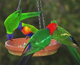 Bellthorpe Stays - Nature's Retreat - Newcastle Accommodation 3