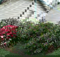 Jenolan Caravan Park - New Castle Tourism