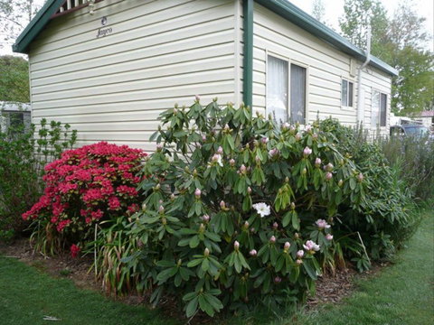 Jenolan Caravan Park - New Castle Tourism 1