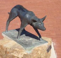 The Ardlethan Kelpie Caravan Park - New Castle Tourism